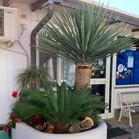 Panzió Acquamarina