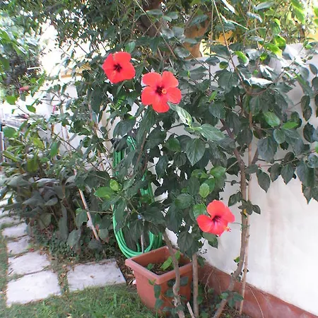 Bed & Breakfast Acquamarina Fiumicino